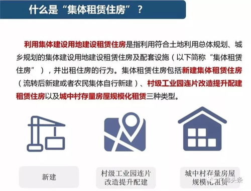 农村集体租赁住房 开启安居乐业新篇章，子女教育与医疗服务同享