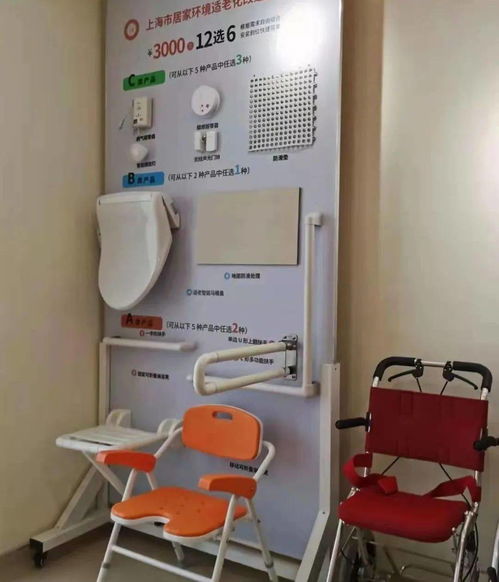 养老惠老政策下的租赁服务 全面解析与实用指南